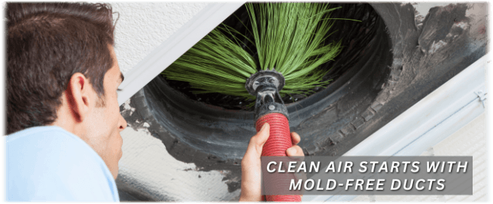 Air Duct Mold Removal in Alhambra